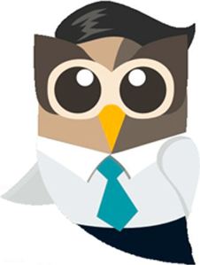 Owl Businessman